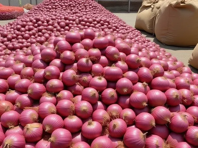 महाराष्ट्र में प्याज के दाम गिरे, किसान बोले- लागत का आधा भी नहीं मिला